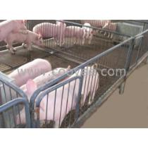 2019年畜牧業養殖產業鏈 廠商、批發、報價與飼料銷售全景洞察