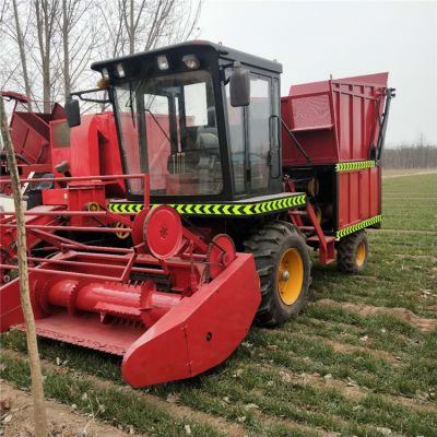 中國畜牧漁業飼料供應商 價格策略與市場格局分析